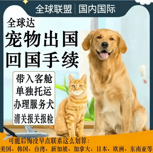 海西州宠物托运到柬埔寨宠物入境规定和要求