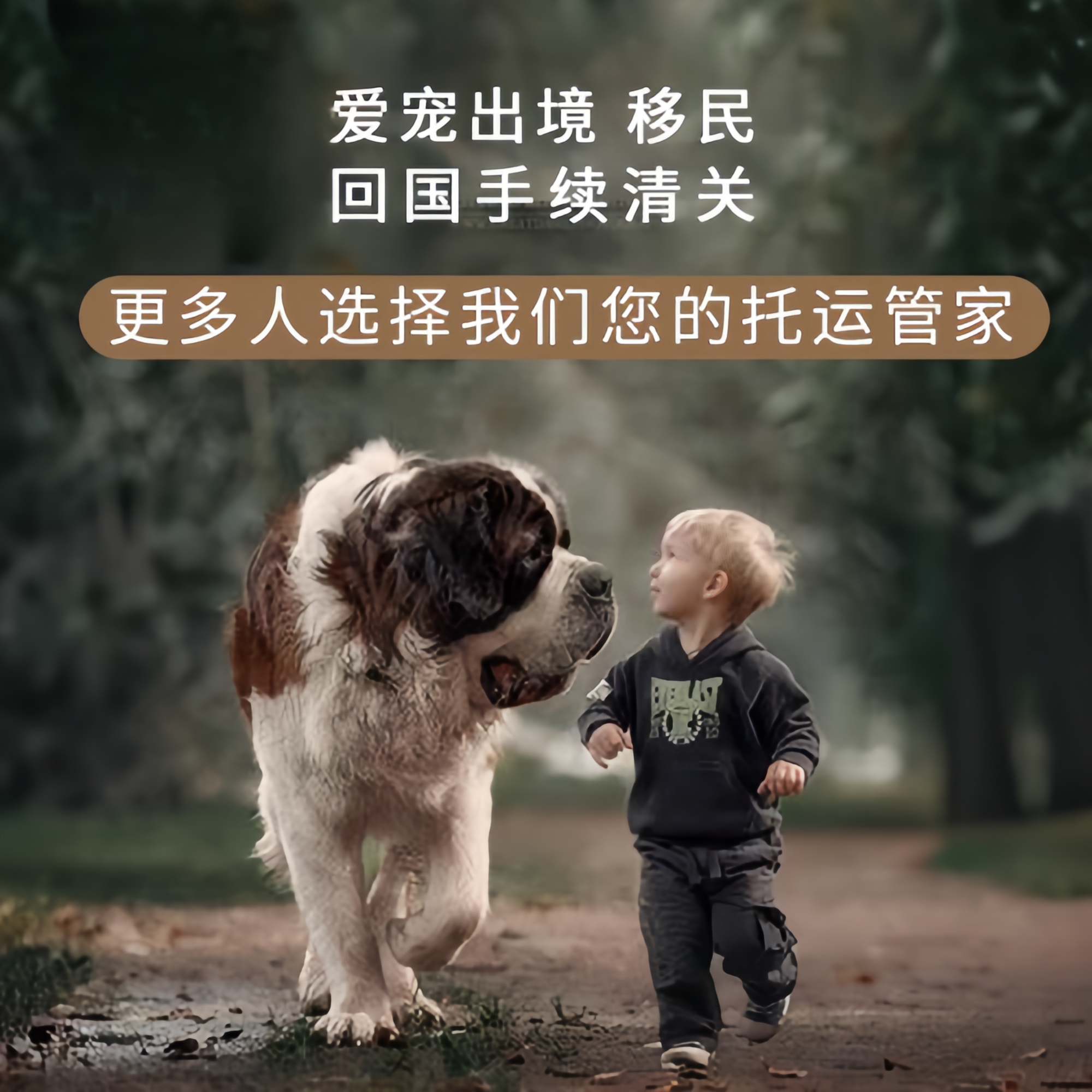 满财海西州宠物全球达宠物托运在遵守入境目的地政策的条件