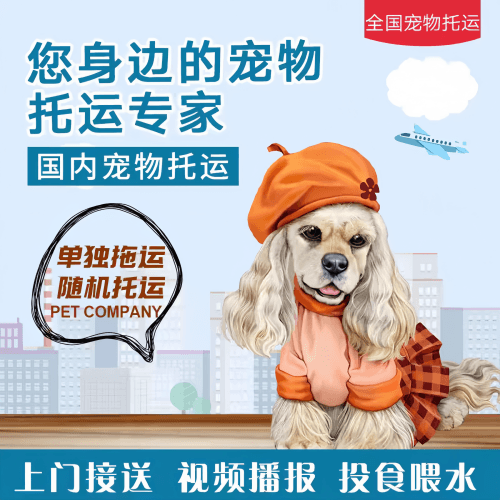 满财海西州宠物全球达宠物托运作为专业的宠物运输代理机构
